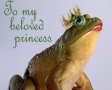 To my beloved princess