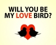 Will you be my love bird?