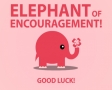 Elephant of encouragement!